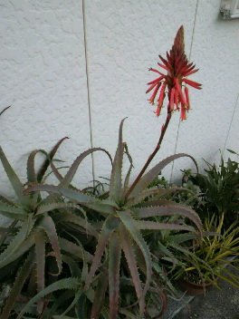 2013122711530001.jpg