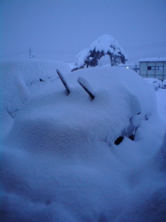 20100203171849.jpg