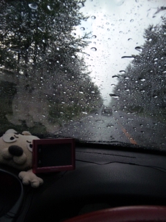 110710_120612.jpg