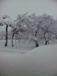 120125_152246.jpg