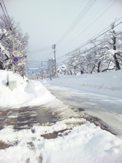 120131_101604.jpg