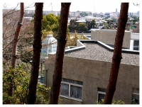 松伯美術館から鶴舞団地を望む