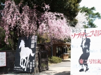 クリックで拡大