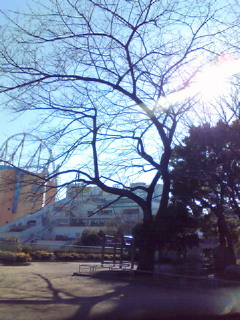 200901141014000.jpg