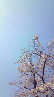 200903271141000.jpg