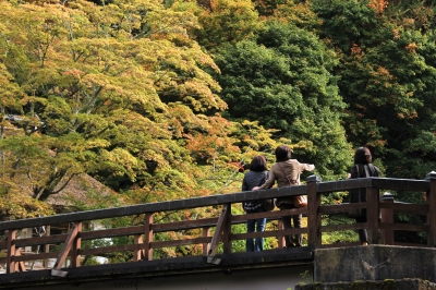 紅葉を見るお客様