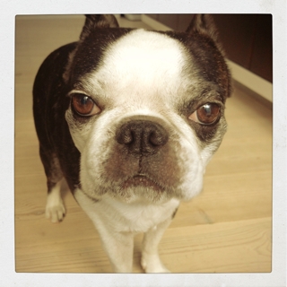 iPhoneImage.png
