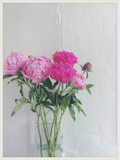 iPhoneImage.png