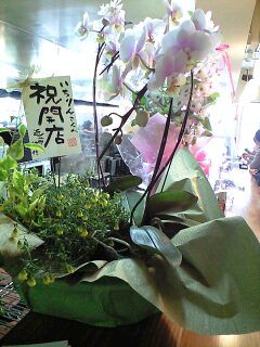 110403_1308~0001.jpg