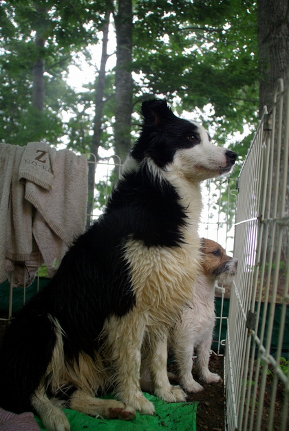 IMGP0122.JPG
