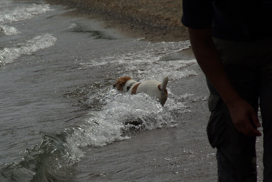 IMGP0449.JPG