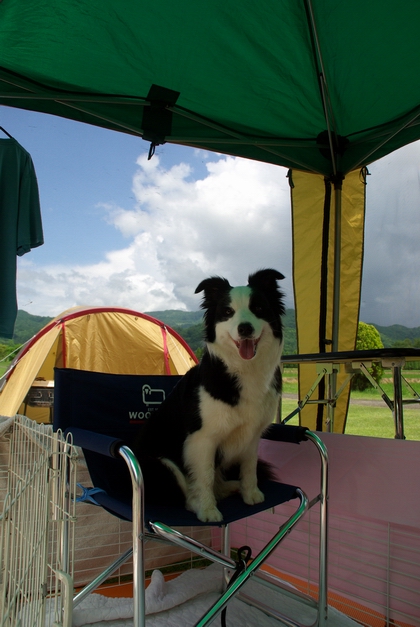 IMGP0291.JPG