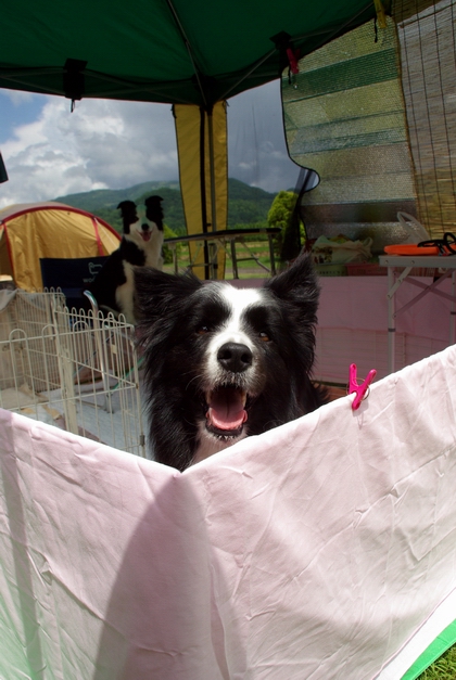 IMGP0302.JPG