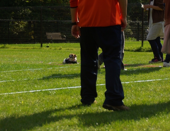 IMGP0096.JPG