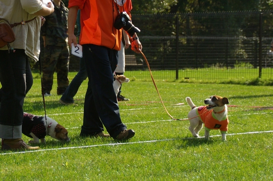 IMGP0104.JPG