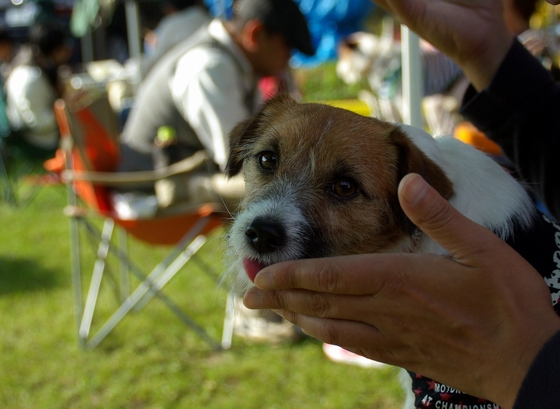 IMGP0116.JPG