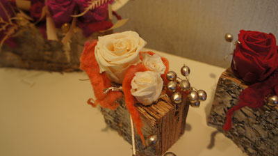 DSC02376.jpg