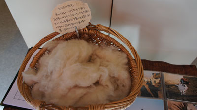 DSC02511.jpg