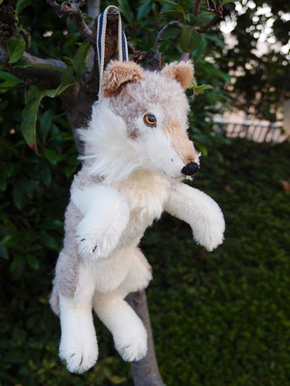 オオカミ展2015
