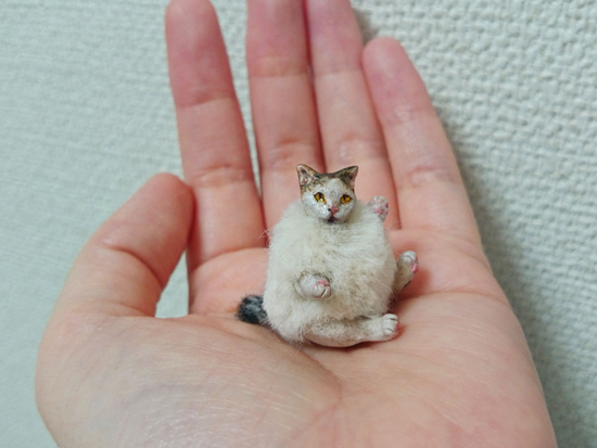 猫展2016