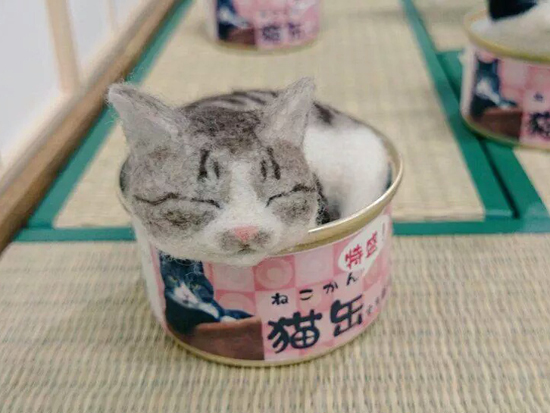 猫展2016