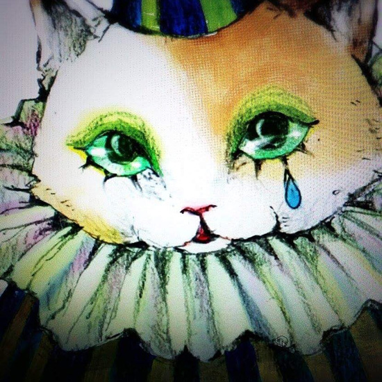 猫展2016