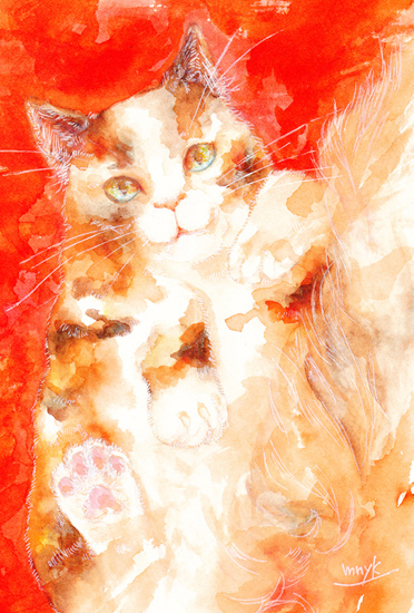 猫展2016