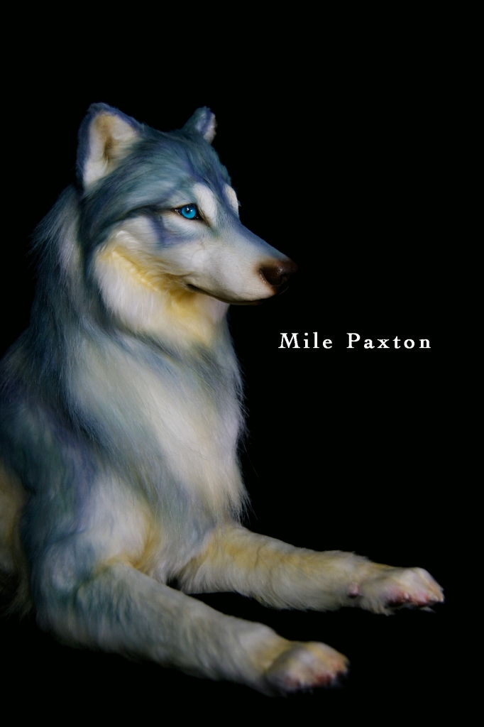 作家様 アートドール 狼 作家 アートドール 狼 ハンドメイド