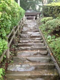 image08.jpg