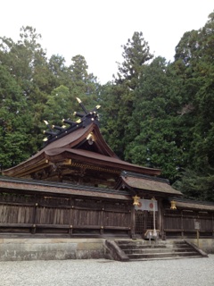 image03.jpg