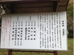 image11.jpg