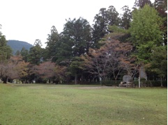 image12.jpg