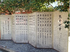 image17.jpg