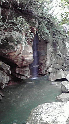 P1000300.jpg