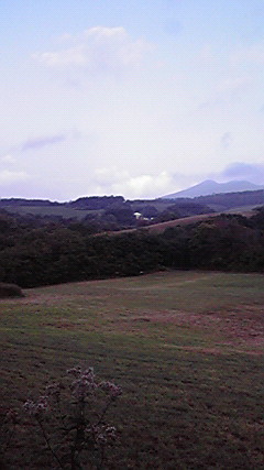 P1000307.jpg