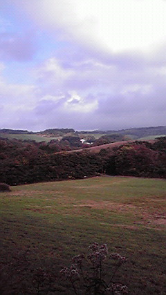 P1000309.jpg