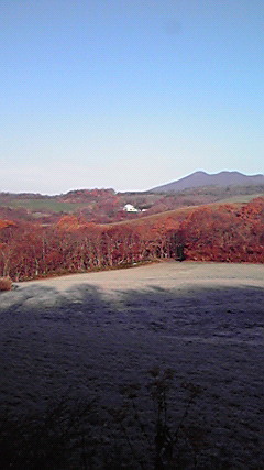 P1000326.jpg