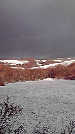 P1000329.jpg