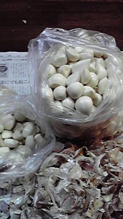 P1000344.jpg