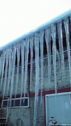 P1000351.jpg