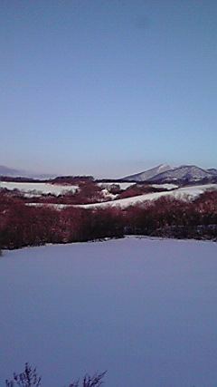 P1000359.jpg