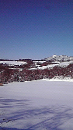2012122910320000.jpg