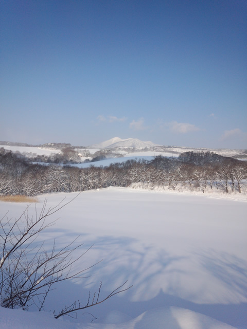 DSC_0010.jpg
