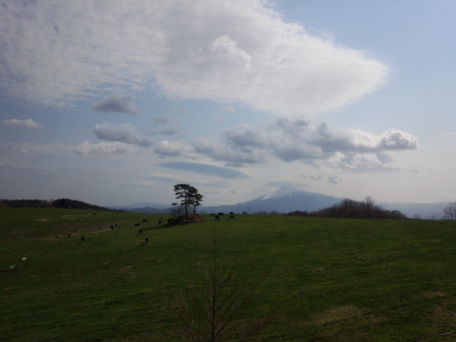 DSC_0082.jpg