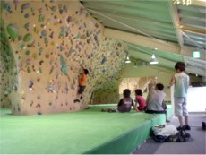 kids climbing school
