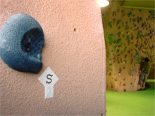 grade7 start hold