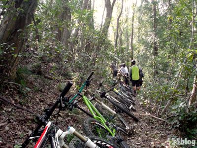 NPO法政クラブMTBの活動 2012.10.6 台風倒木撤去作業(1)