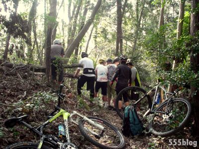 NPO法政クラブMTBの活動 2012.10.6 台風倒木撤去作業(2)