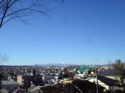 ホロホロ日記 555nat.com 世田谷トレイル 2015年初ライド オールドスクールMTB cook bros (1)