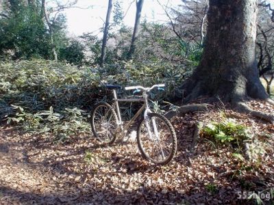 ホロホロ日記 555nat.com 世田谷トレイル 2015年初ライド オールドスクールMTB cook bros (5)